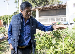 Impulsa PROGAU proyecto de embellecimiento de jardines universitarios