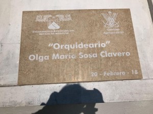 Donan a Facultad de Ciencias Agropecuarias orquideario con 400 especies