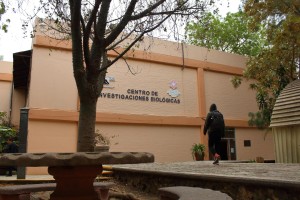 Celebrará Centro de Investigaciones Biológicas 30 años de su fundación