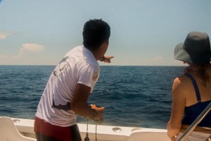 Impulsan estudiantes del CIByC proyecto de conservación de tiburón ballena