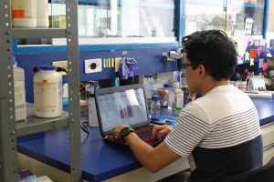 Investiga UAEM relación de adenovirus tipo 36 con obesidad en personas