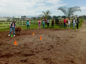 Participan estudiantes de la FESC en terapias asistidas con animales