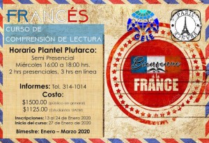 Comprensión de Lectura: Curso de Francés